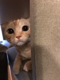 569F0170-3E3B-4EB5-B795-D4693FD2FEC9.jpeg
