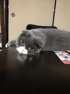 A3FA5836-ED08-490E-B59F-3DAB696967A1.jpeg