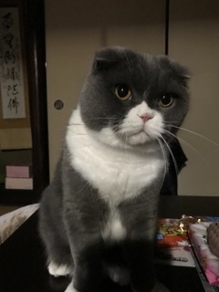 B5A31999-A409-4CF9-BE72-B0F10D086271.jpeg