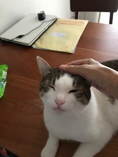 CA38629B-D7C0-4AF8-9F39-360928E3D4B2.jpeg