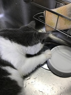 E4410B5E-0305-478F-BABC-3F07C5260A61.jpeg