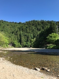 山村 都市 交流 の 森 ペット ストア